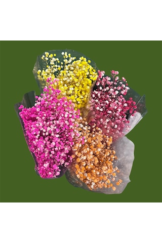 Şoklanmış Kurutulmuş Cipso Çiçeği 1 Demet 50-60gr - 35-45cm Turuncu