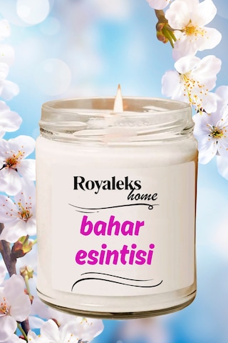 4 Adet Doğal Özel Seri Kokulu Dekoratif Kavanoz Mum 4x210 Cc - Fresh Set - Ryl Çok Renkli