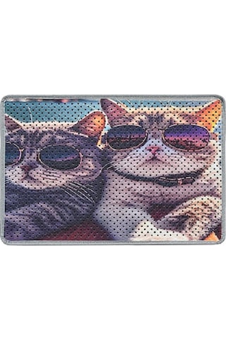 Kar Mat Kedi Tuvaleti Paspası Delikli Kedi Kumu Paspası Gözlüklü
