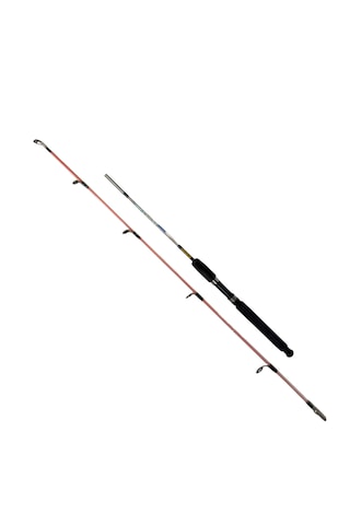 Fishpro Echo 120cm 100-250gr Tekne Kamışı 120cm