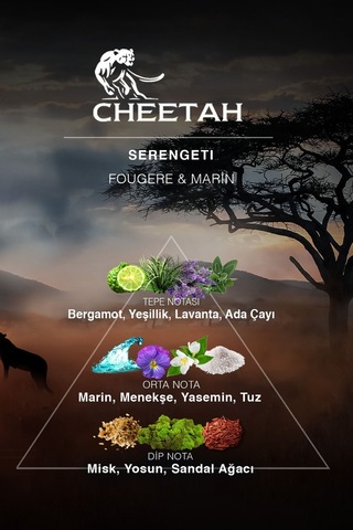 Cheetah Serengeti Erkek Parfüm EDP 100 ML