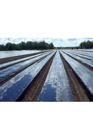 Malç Naylonu Çilek Naylonu En 130 CM Boy 100 M Malç Örtüsü