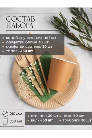 Laraproff 30 Kişilik Parti Tek Kullanımlık Tableware Seti 240765018 100 adet
