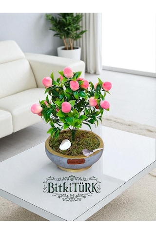 Bitkitürk-beton Saksıda Yapay Şeftali Ağacı Bonsai Ofis Salon Caf