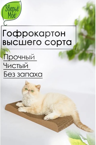 Zver'e Moe Karton Kedi Tırmalama Tahtası Dune 451638792