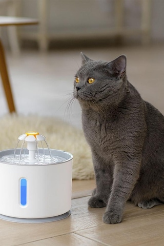 TechnoSmart Kedi Köpek Su Çeşmesi Su Pınarı Kabı Led Işık Göstergesi