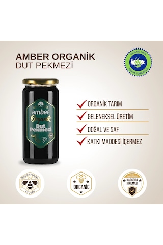 Amber Organik Dut Pekmezi 620 Gr