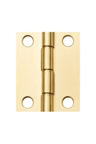 Sarı 100 Adet Papatya Menteşe Düz 30x23 Mm - Dekoratif Çerçeve Fener Kutu Menteşesi Evimdeyokyok