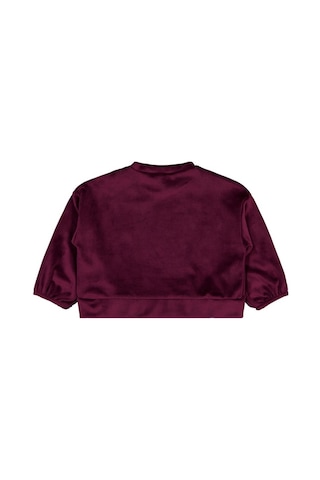 Civil Baby Fiyonklu 6-18 Ay Sweatshirt - Lila Pancar Moru