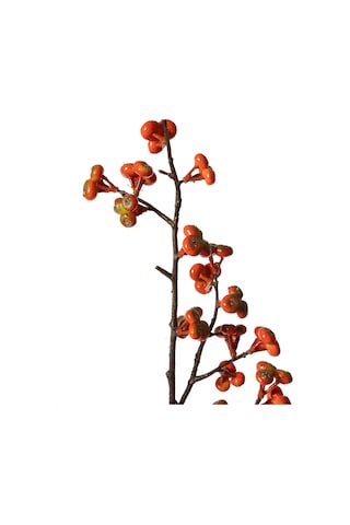 Mudo Home Orange Berry Dal Çiçek 88 Cm 1484476