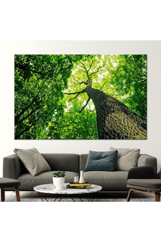 90x150cm 1 Parça Kanvas Tablo, Doğa Kanvas Sanatı