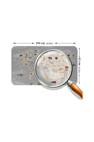 Eğitici Dünya Haritası Dünya Atlası Çocuk Ve Bebek Odası Duvar Sticker-60x105-3793 - Renkli Çok Renkli