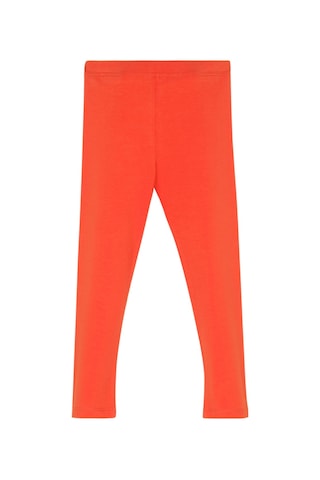 Lovetti Turuncu Kız Çocuk Tam Boy Düz Basıc Tayt 5262T015 Turuncu
