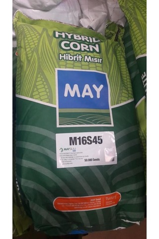 May Silajlık Mısır Tohumu M16s45