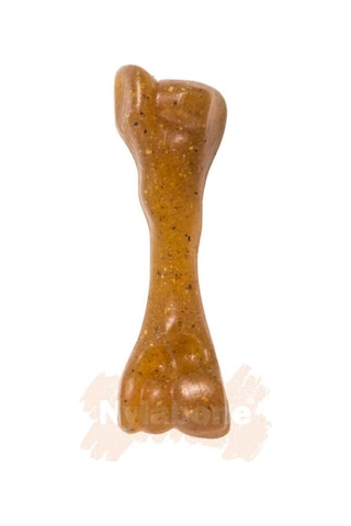Nylabone Biftek Aromalı Yavru Köpek Çiğneme Kemiği S