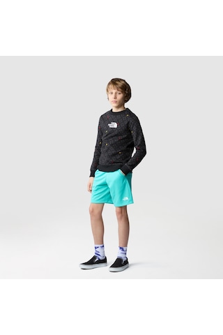 The North Face B Drew Peak Light Crew Print Erkek Çocuk Sweatshirt-30793 siyah