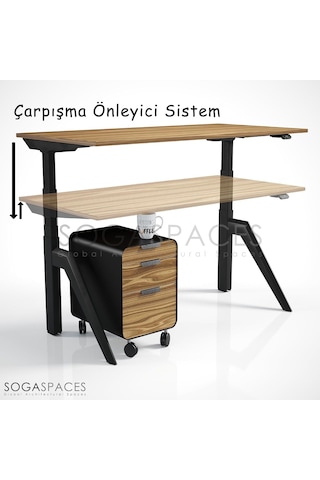 Regula Desk Dandy M - Elektrikli Yükseklik Ayarlı Çalışma Masası, Sıradışı Tasarım, Çift Motorlu Bluetooth K Çok Renkli