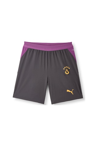 Gsstore Galatasaray Puma 2026/2027 Deplasman Profesyonel Şort 78502105 Antrasit