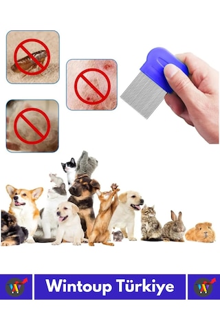 Özel Üretim Yüksek Kaliteli Hassas Koruma Petshop Kedi Köpek Evcil Hayvan 4'lü Bit Tarağı Seti