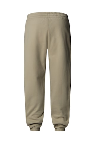 The North Face Erkek Coordınates Pantolon Nf0a89db1ı41 Gri