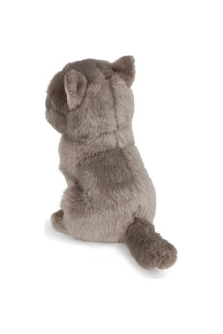Bon Ton Toys B.t. Chaps Freddy The British Shorthair Kutulu Peluş Oyuncak 17 Cm - 7'' 32179007 Gri