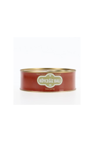 Köyceğiz Balı Çiçek Balı Teneke 850 G