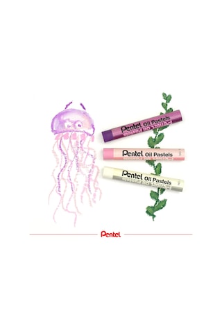 Pentel Yağlı Pastel Boya, Standart Kutu, 25 Renkli Çok Renkli