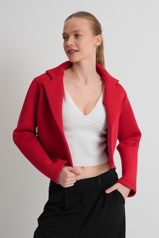 Alexander Gardi Alexandergardı Astarsız Crop Blazer Ceket Kırmızı