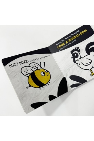 Sincap Kitap Communication - Baby University First Concepts Stories