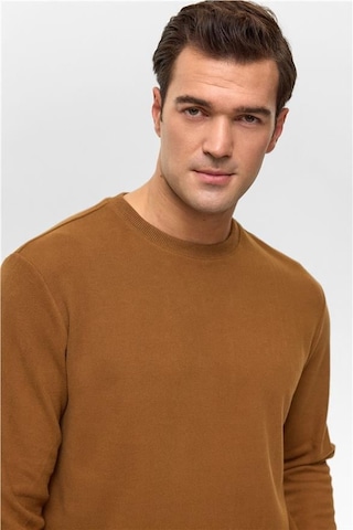 Süvari Koyu Kahve Regular Düz Bisiklet Yaka Sweatshirt Koyu Kahve