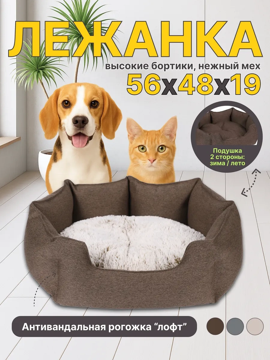 Rıch Breed Kedi Ve Köpekler İçin Kenarlı Yumuşak Yatak 434866366