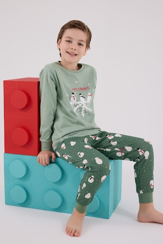 Rolypoly Erkek Çocuk Yeşil Pijama Takımı Rp3681-c-v2