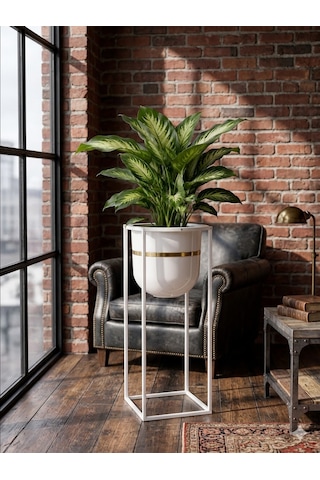 Bitkidunyam Mat Metal Kare Ayaklı Saksı, Altın Detaylı Kenar, Silindirik, Modern Tasarım, 50x21 Cm No:5 Beyaz