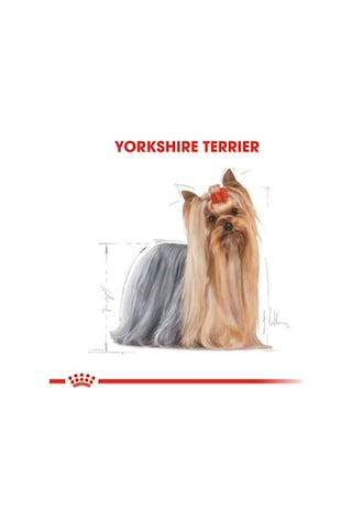 Royal Canin Yorkshire Terrier Yetişkin Köpek Maması 85 G