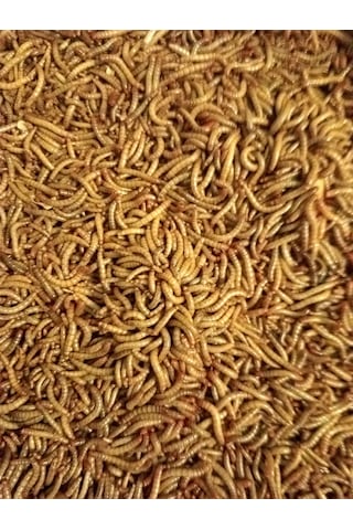 Exolive Un Kurdu 2500'lü 250 G