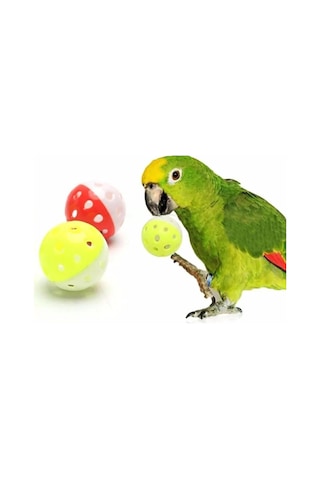 Ozzipetshop Papağan Oyun Topu - 5 Adet Zilli Kuş Oyuncak Seti / Renkli Ve Eğlenceli