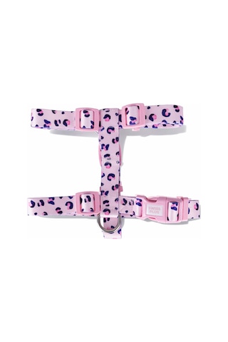 Swissplus Urban Paws Pink Leo Geri Dönüştürülmüş H-tipi Köpek Göğüs Tasması-m Pembe - Pudra