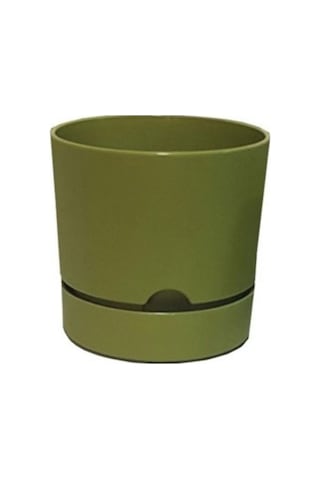 Polıwork Saksı Begonya 15 Cm Yosun Yeşili