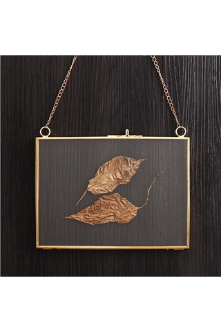 Pirinç Cam Metal Resim Fotoğraf Kurutulmuş Koruyucu A 18x13cm