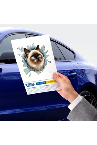 Bay Fulcar Siamesse Araç Stickerı Najmaddin