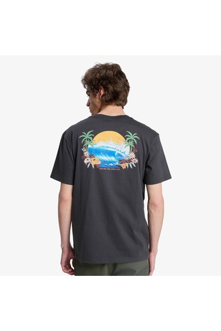 Quiksilver Fruits Tide Erkek Gri T-shirt Eqyzt08285