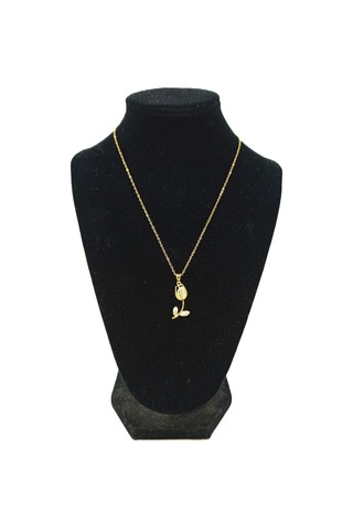 Kadın Çelik Kolye - Kçk-17 Çok Renkli