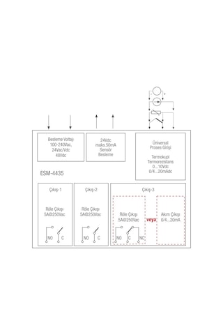 Emko Esm-4435.2.20.0.1/01.04 Kontrol Cihazı 4-20ma Çıkışlı 24volt