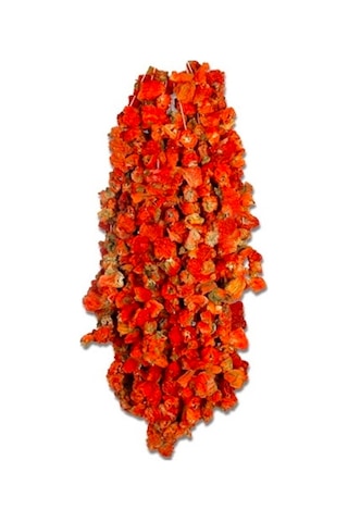 Kuru Dolmalık Acı Biber 45 Adet