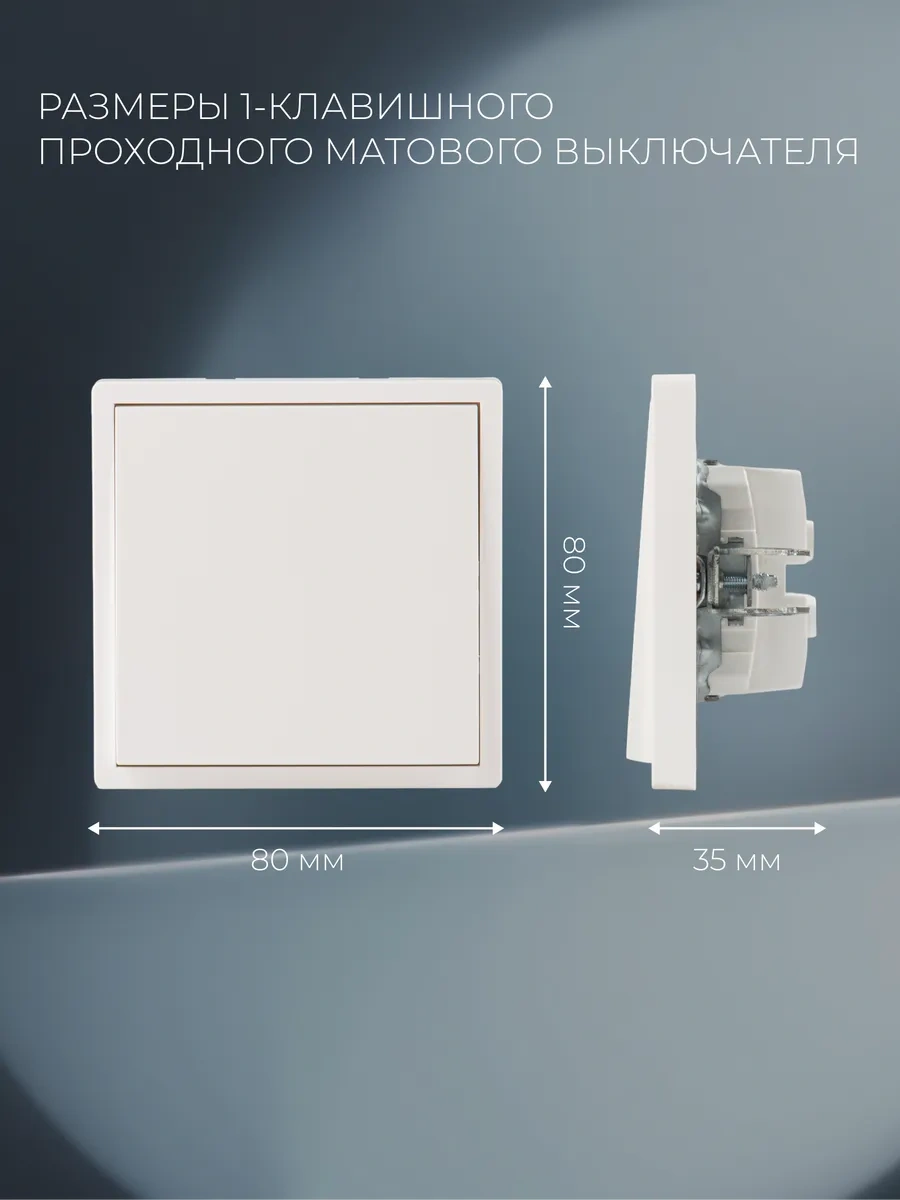 Laıtys Beyaz, Geçişli, Tek Tuşlu Anahtar 314244206