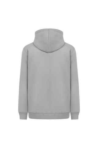 Mysport My Sport 5018 Erkek Yumuşacık Kapüşonlu Organik Pamuk Kanguru Cepli Açık Gri Sweatshirt Açık Gri
