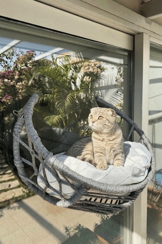 Reyo Lüxperi Hilal Kedi Cam Yatağı & Vantuzlu Cam Yatağı & Kedi Pencere Yatağı Açık Gri