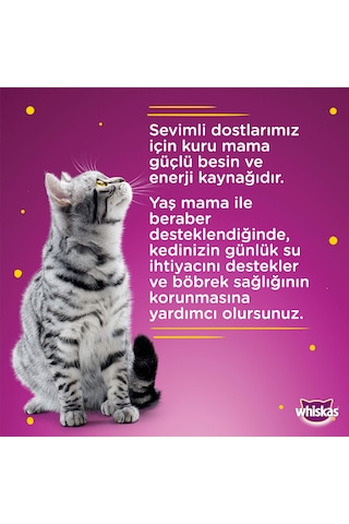 Whiskas Kümes Hayvanlı Pouch Yavru Kedi Konservesi 12 x 85 G