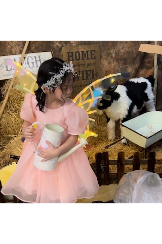 Aloneling Çocuklar İçin Işıklı Ledli Hareketli Kelebek Kanatları Pilli