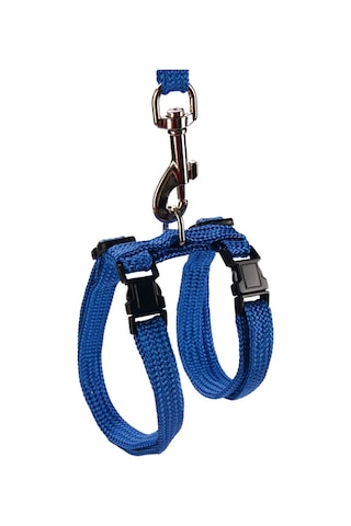 Beeztees Kedi Göğüs Tasması Ve Gezdirme Kayışı, 130cm, Mavi